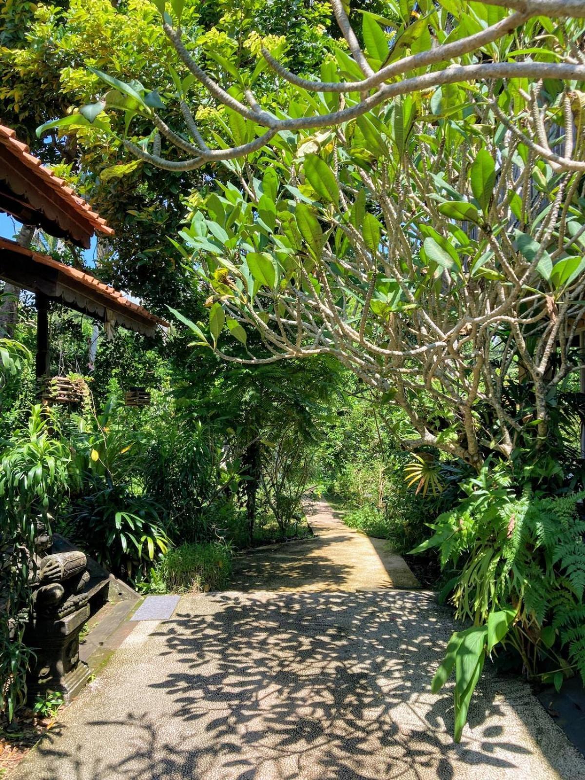 Tresna Bali Luxury * Ubud