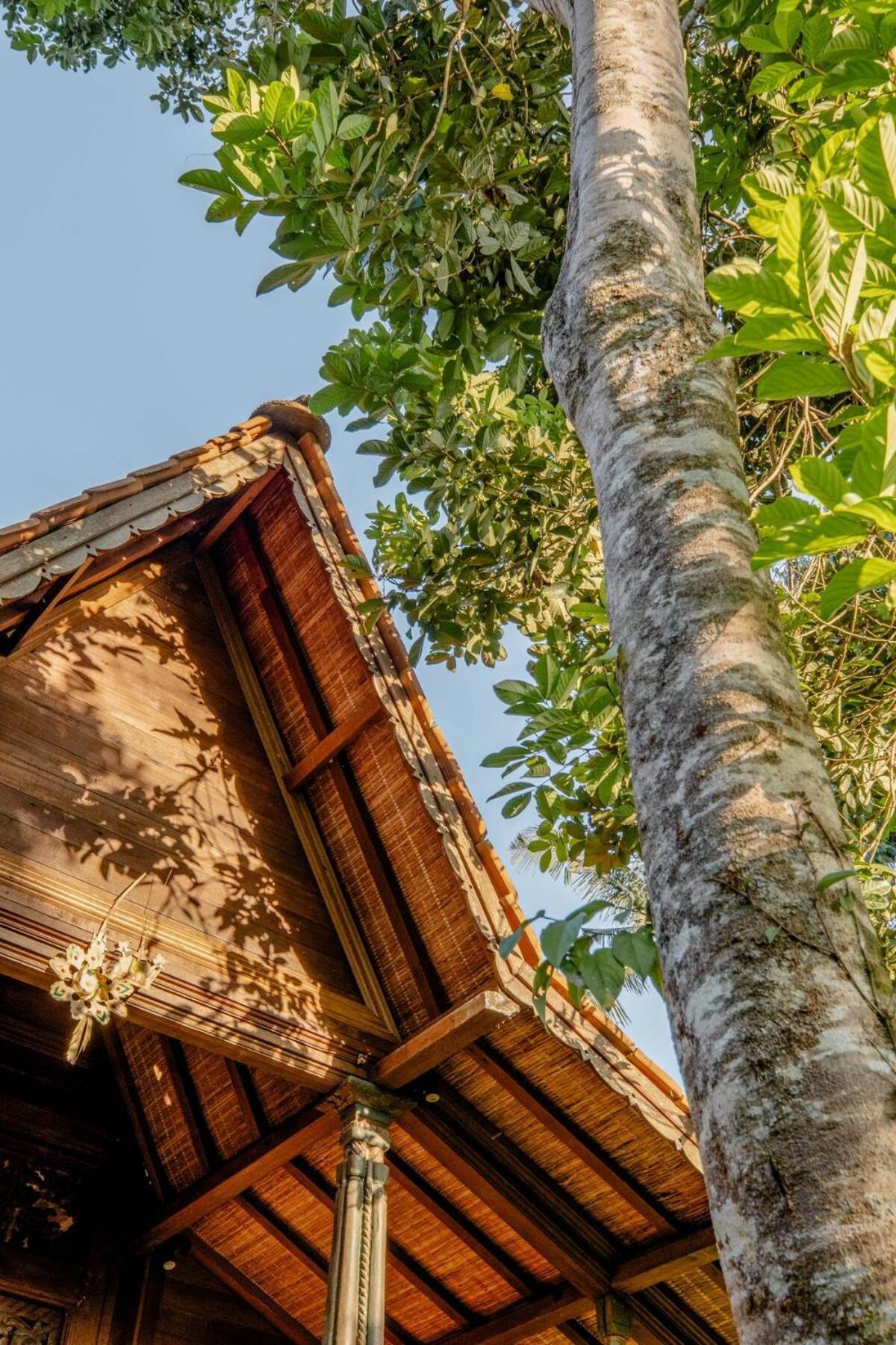 Villa Tresna Bali Luxury Ubud